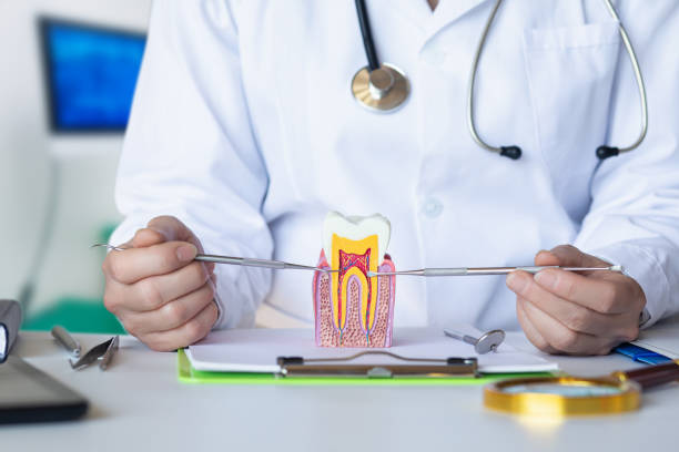 Best Holiday Emergency Dentist in Broadlands, VA
